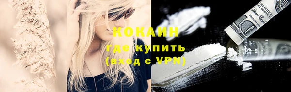 ПСИЛОЦИБИНОВЫЕ ГРИБЫ Апатиты