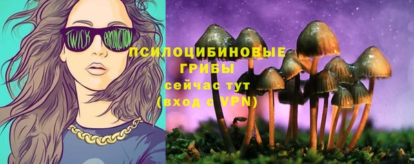 таблы Михайлов